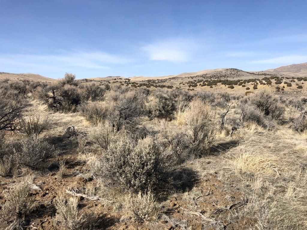 Spring Creek, Elko County, NV Recreational Property, Horse Property