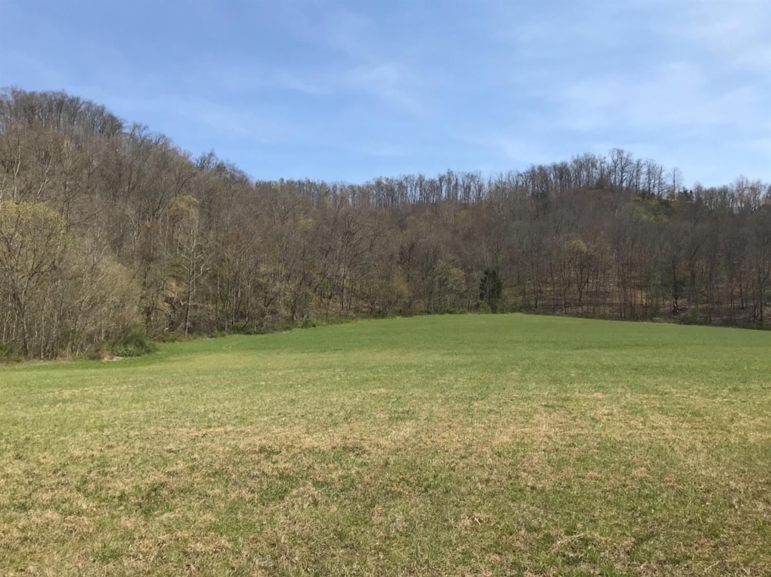 Blaine, Lawrence County, KY Farms and Ranches for sale Property ID