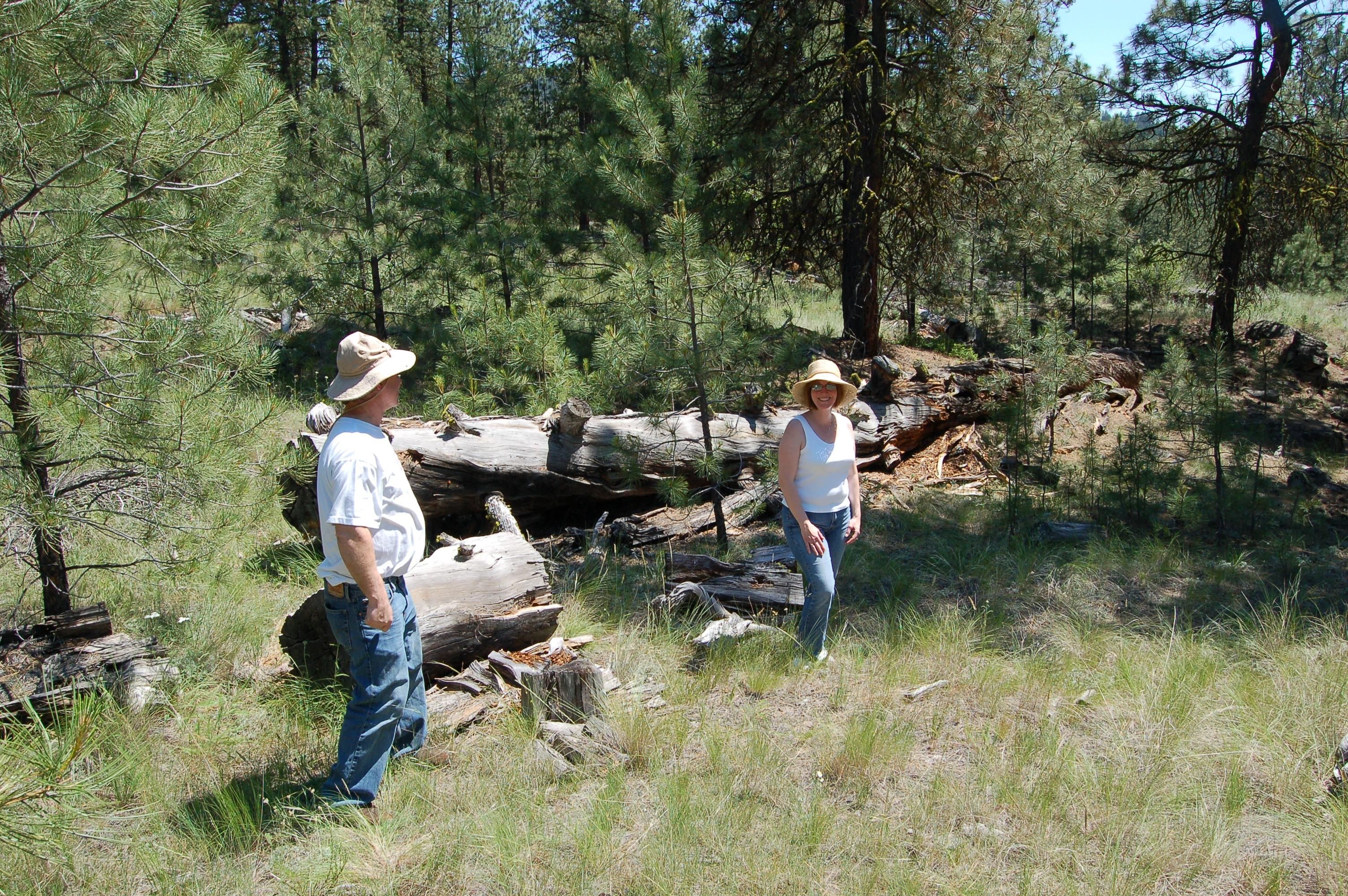 Tonasket, Okanogan County, WA Recreational Property, Horse Property