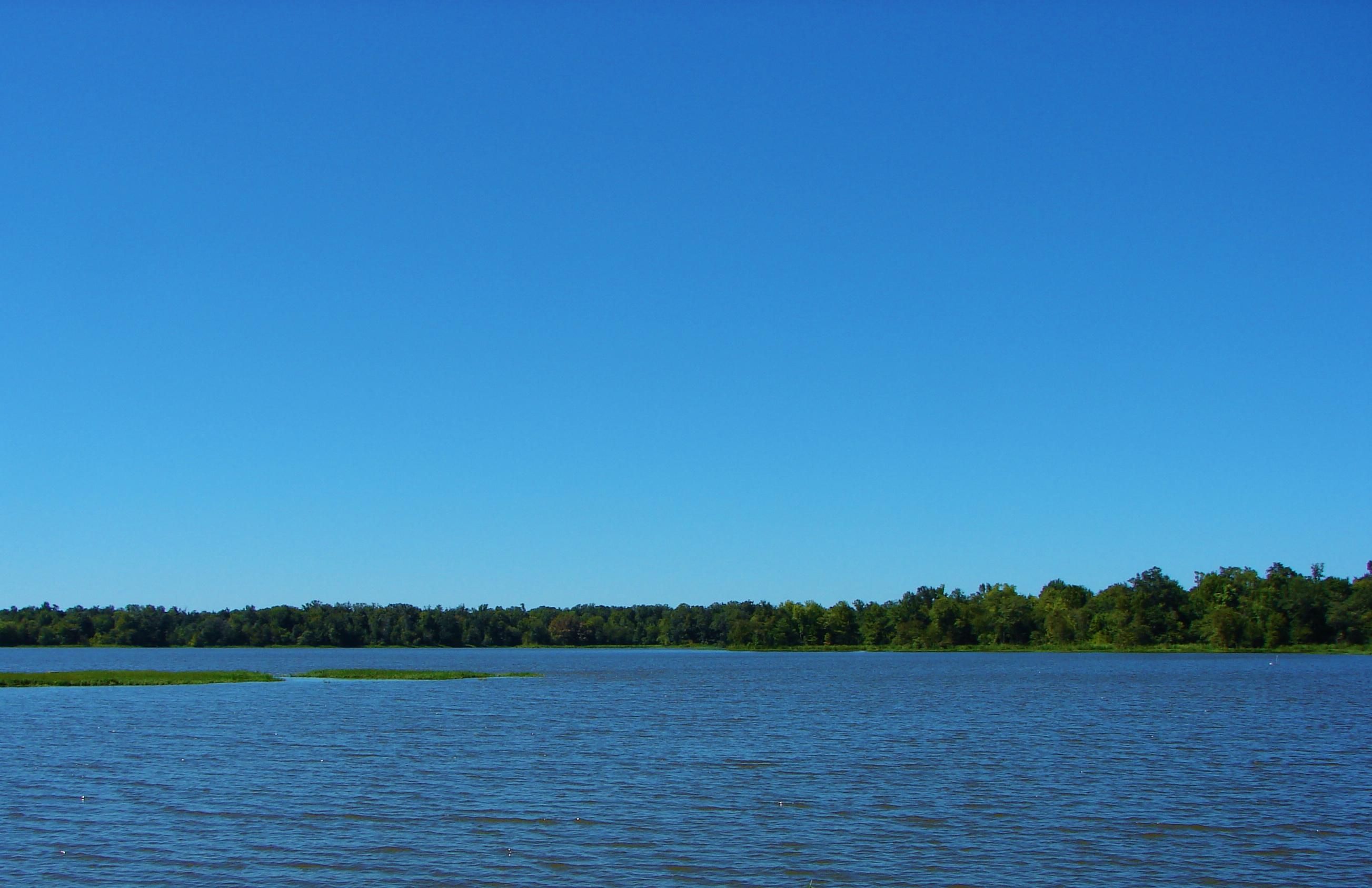 Eutaw, Hale County, AL Recreational Property, Undeveloped Land, Riverfront Property, Waterfront