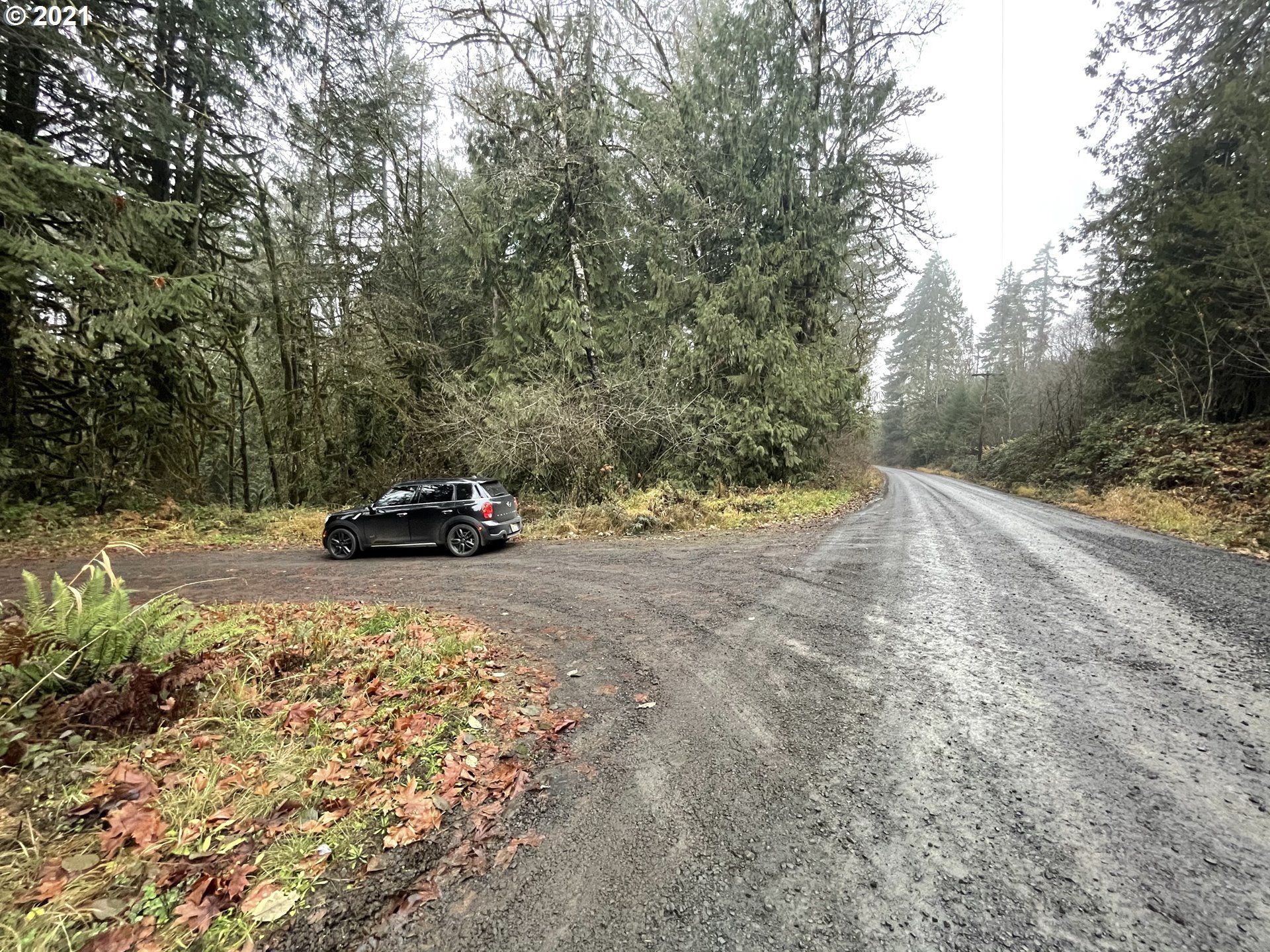 Carlton, Yamhill County, OR Farms and Ranches, Homesites for sale