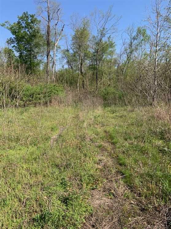 Naylor, Ripley County, MO Recreational Property, Undeveloped Land for