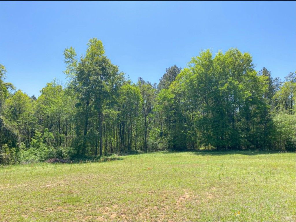 Greensboro, Hale County, AL Undeveloped Land, Homesites for sale