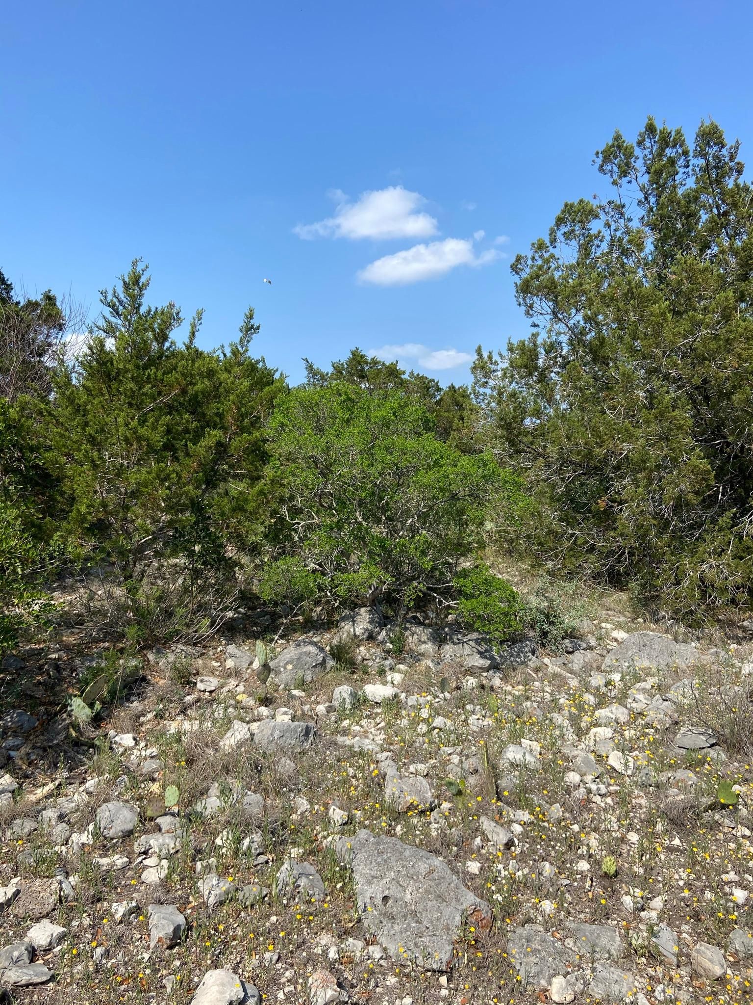 Brackettville, Kinney County, TX Recreational Property for sale