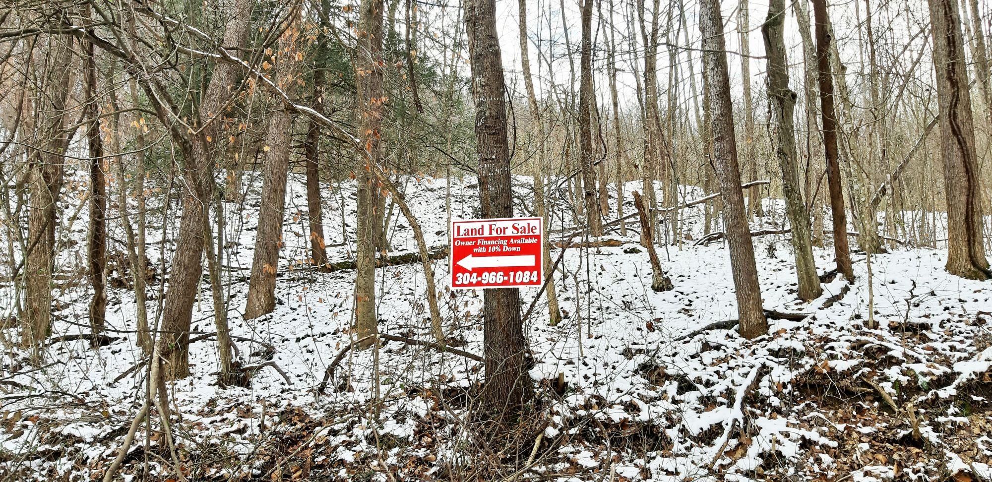 Dunlow, Wayne County, WV Recreational Property, Undeveloped Land for