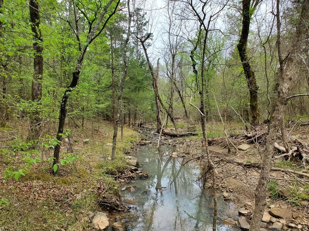 Rattan, Pushmataha County, OK Recreational Property, Hunting Property