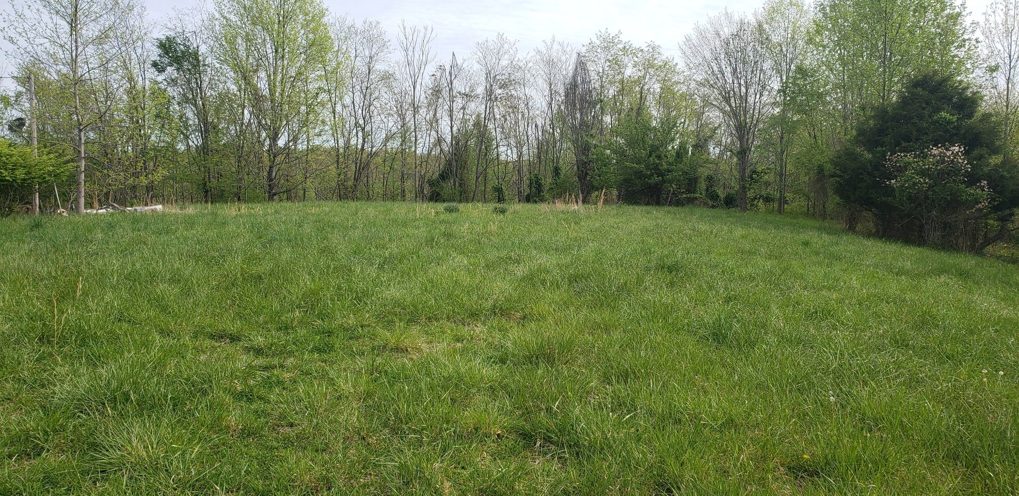 Dowelltown, DeKalb County, TN Farms and Ranches for sale Property ID