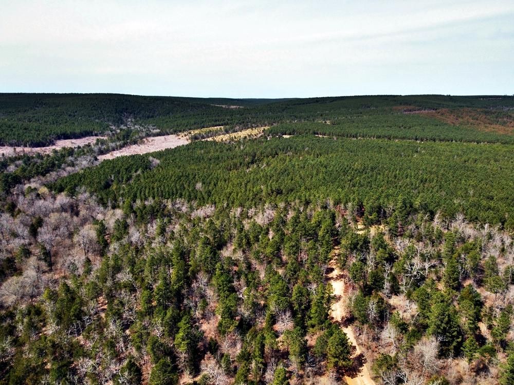 Rattan, Pushmataha County, OK Recreational Property, Hunting Property