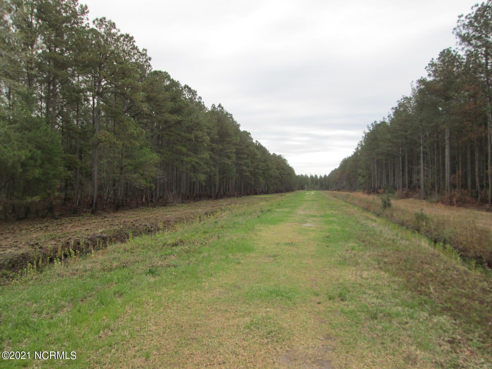 Ash, Brunswick County, NC Undeveloped Land for sale Property ID