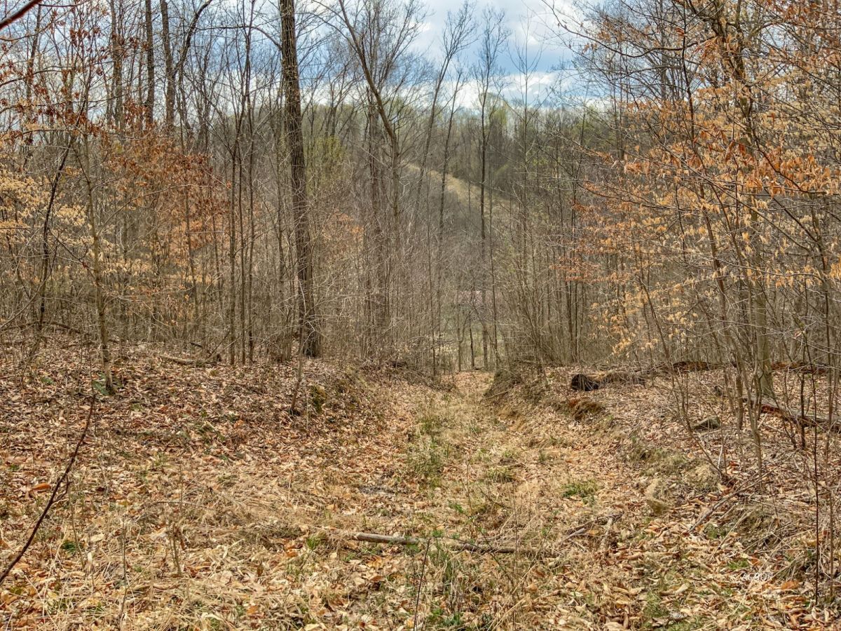 Mcarthur, Vinton County, OH Undeveloped Land for sale Property ID