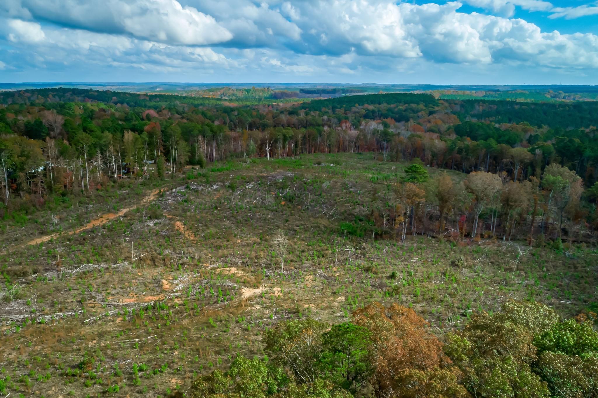 Winnsboro, Fairfield County, SC Recreational Property, Timberland Property, Hunting Property for