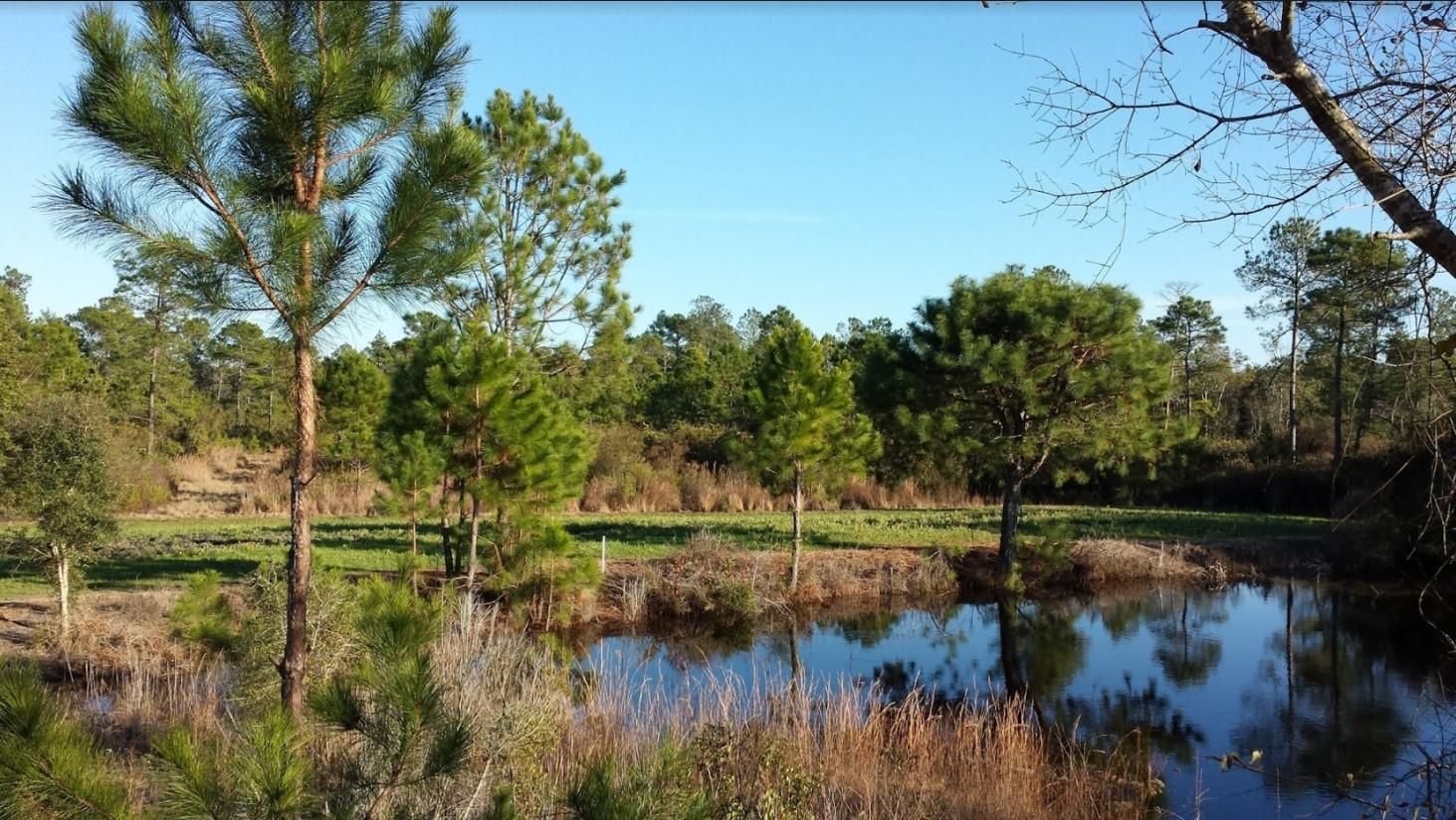 400 acres in Greenville, FL, 32331 LandWatch