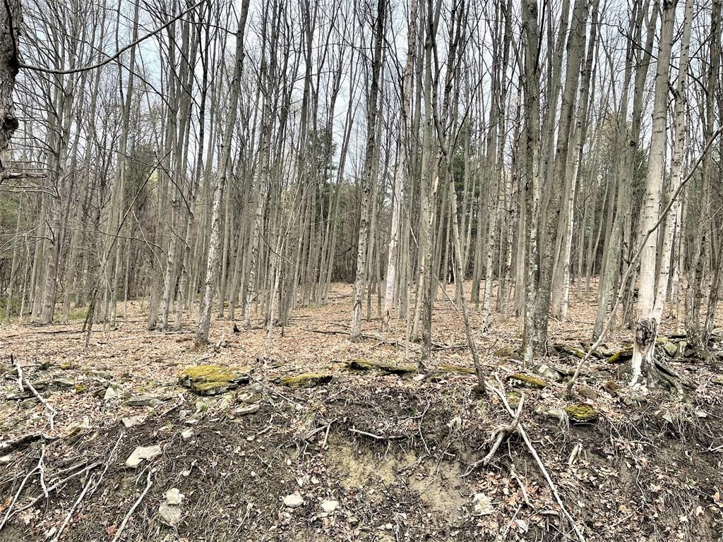 Wysox, Bradford County, PA Undeveloped Land for sale Property ID