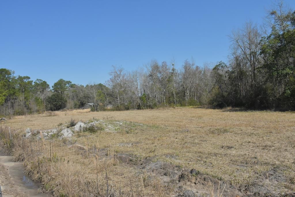 Ludowici, Long County, GA Undeveloped Land, Homesites for sale Property