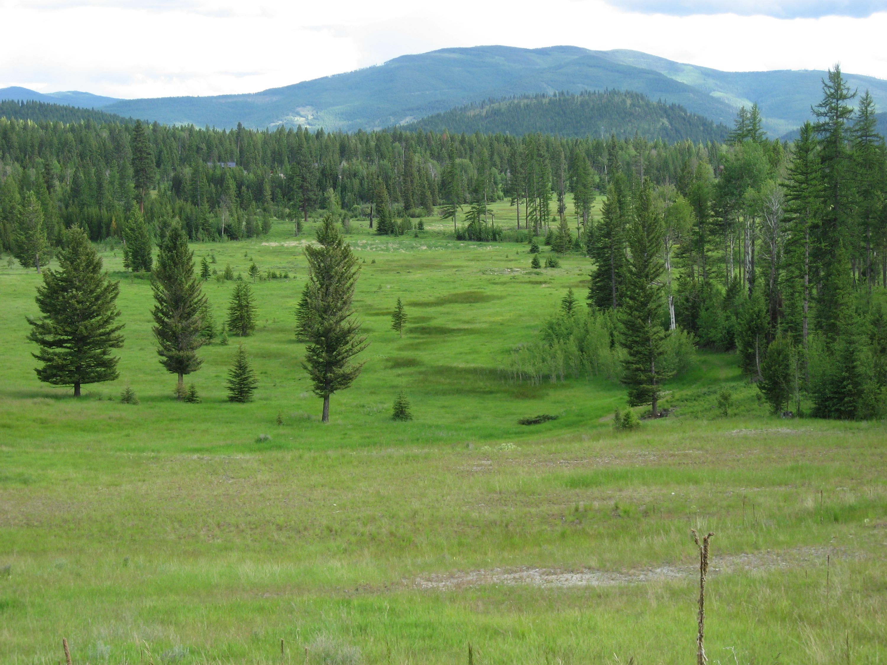 Kila, Flathead County, MT Undeveloped Land for sale Property ID