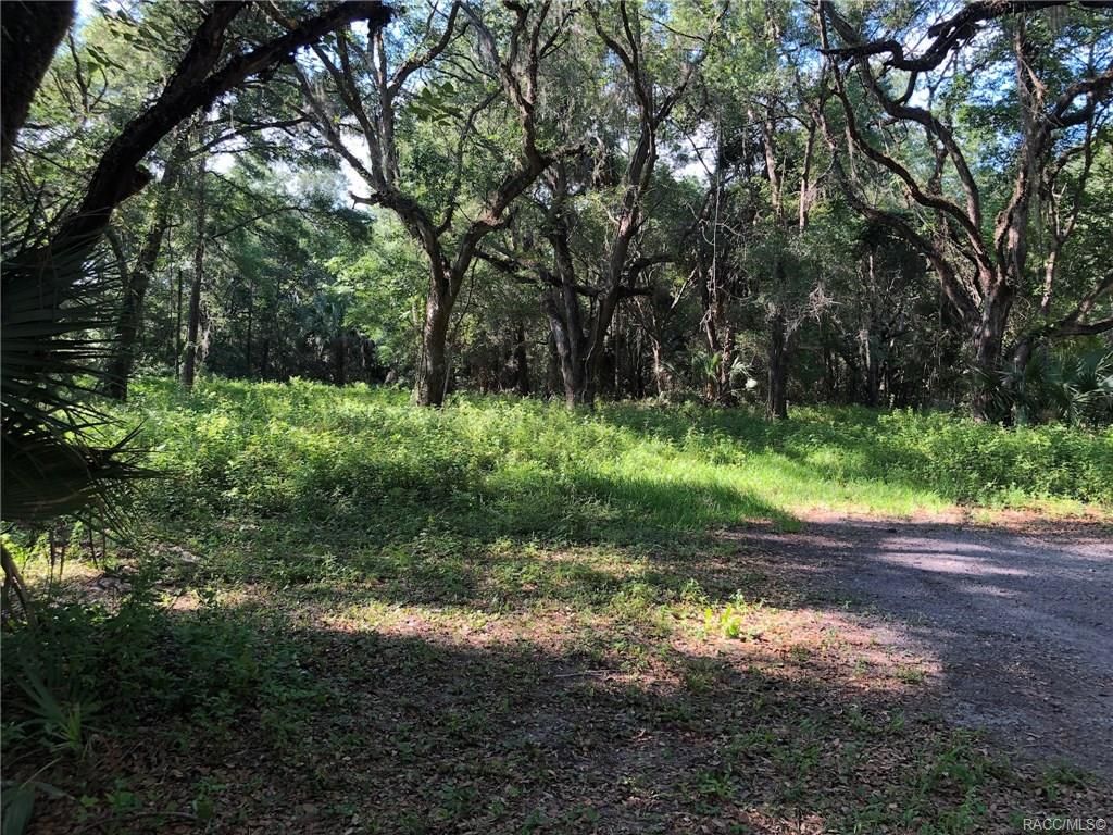 Dunnellon, Citrus County, FL Undeveloped Land, Homesites for sale