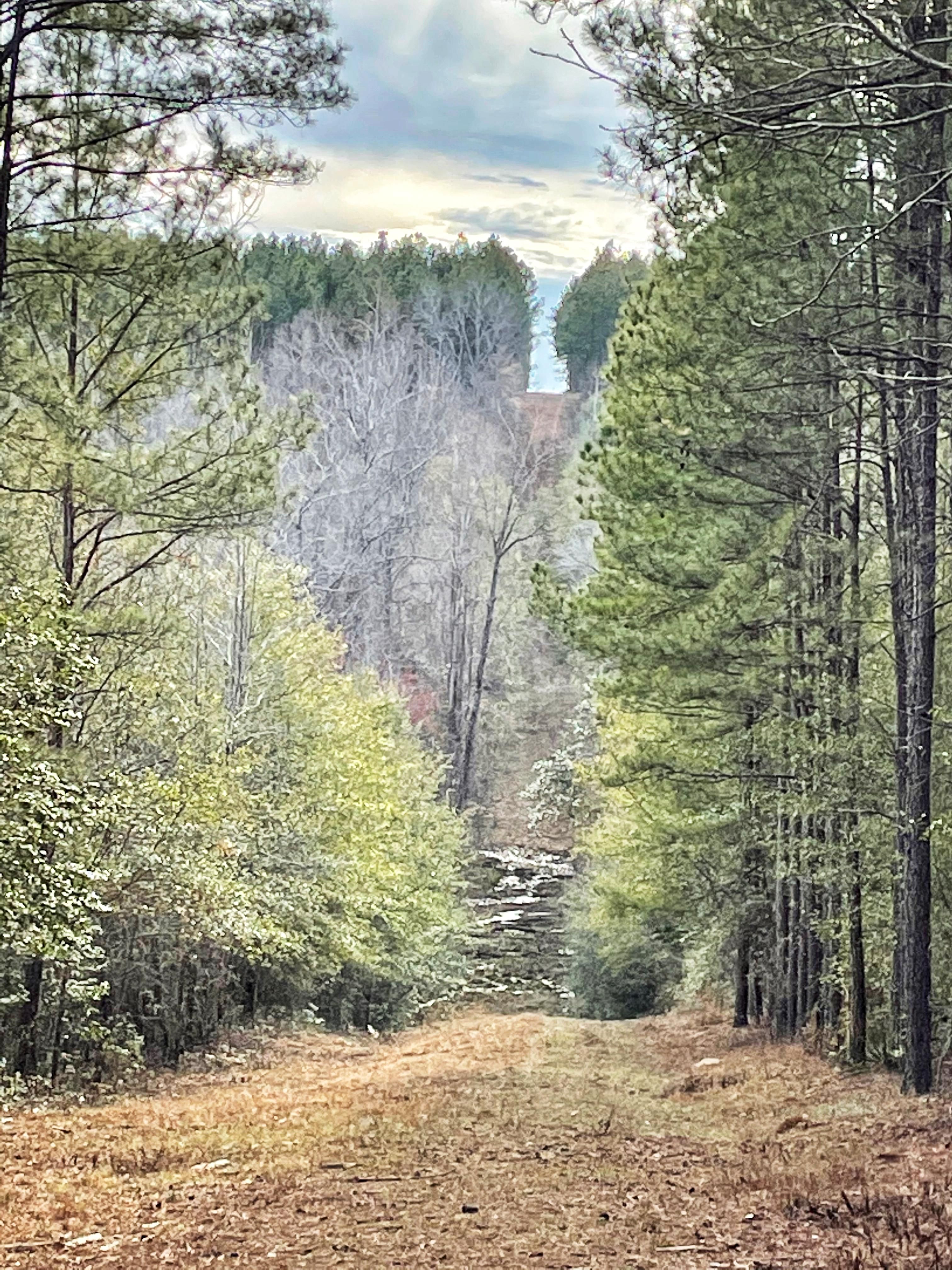 Tennille Oconee Road, Tennille, GA 31089 MLS 8966146 LandWatch