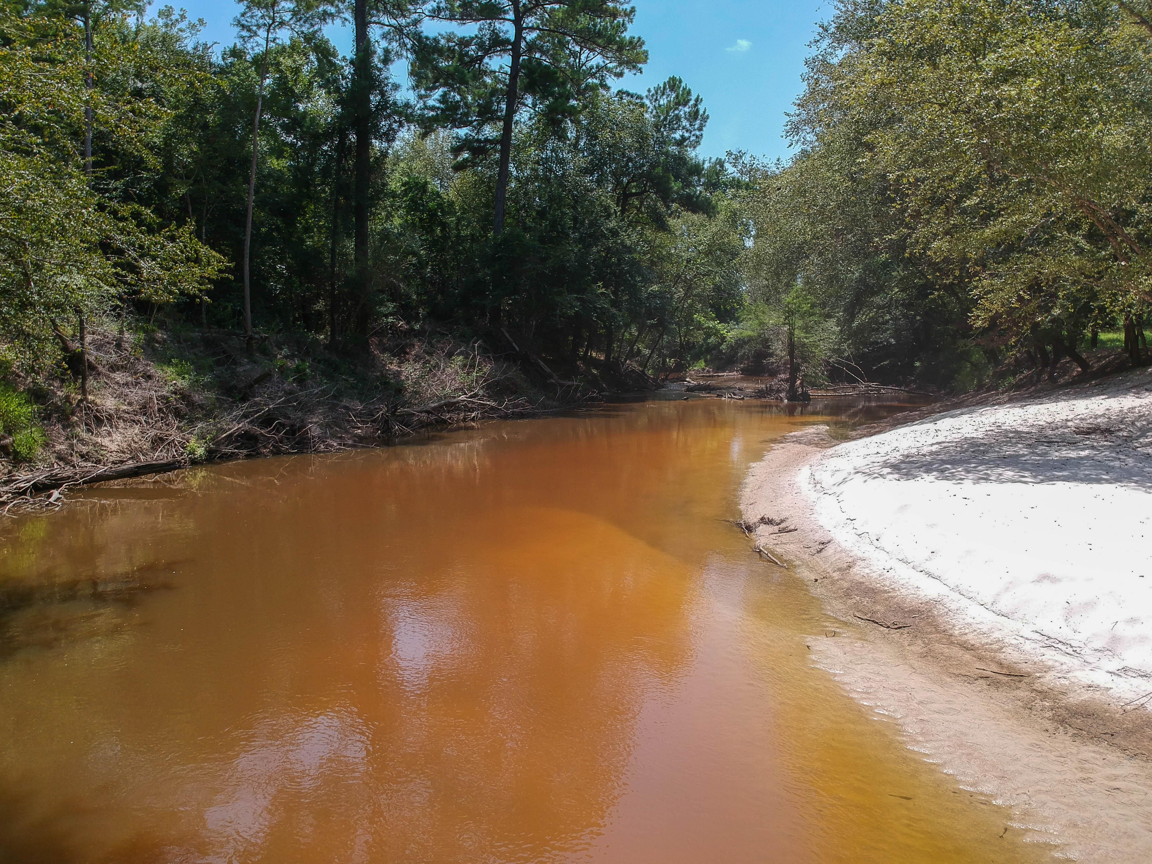 FM1416, Trout Creek, TX 75933 LandWatch