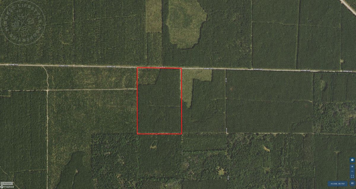 Nekoosa, Adams County, WI Recreational Property, Timberland Property