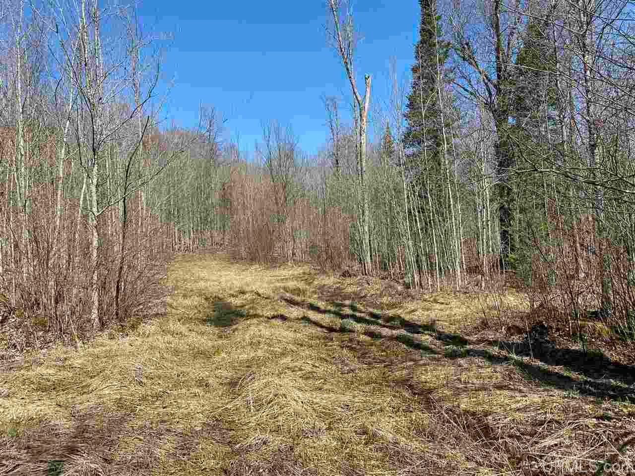 Shanagolden, Ashland County, WI Undeveloped Land, Lakefront Property