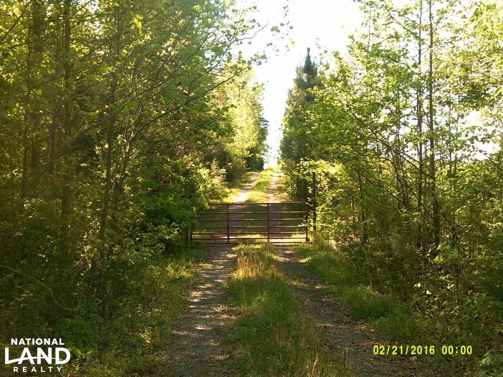 Bear Creek, Chatham County, NC Undeveloped Land, Hunting Property for
