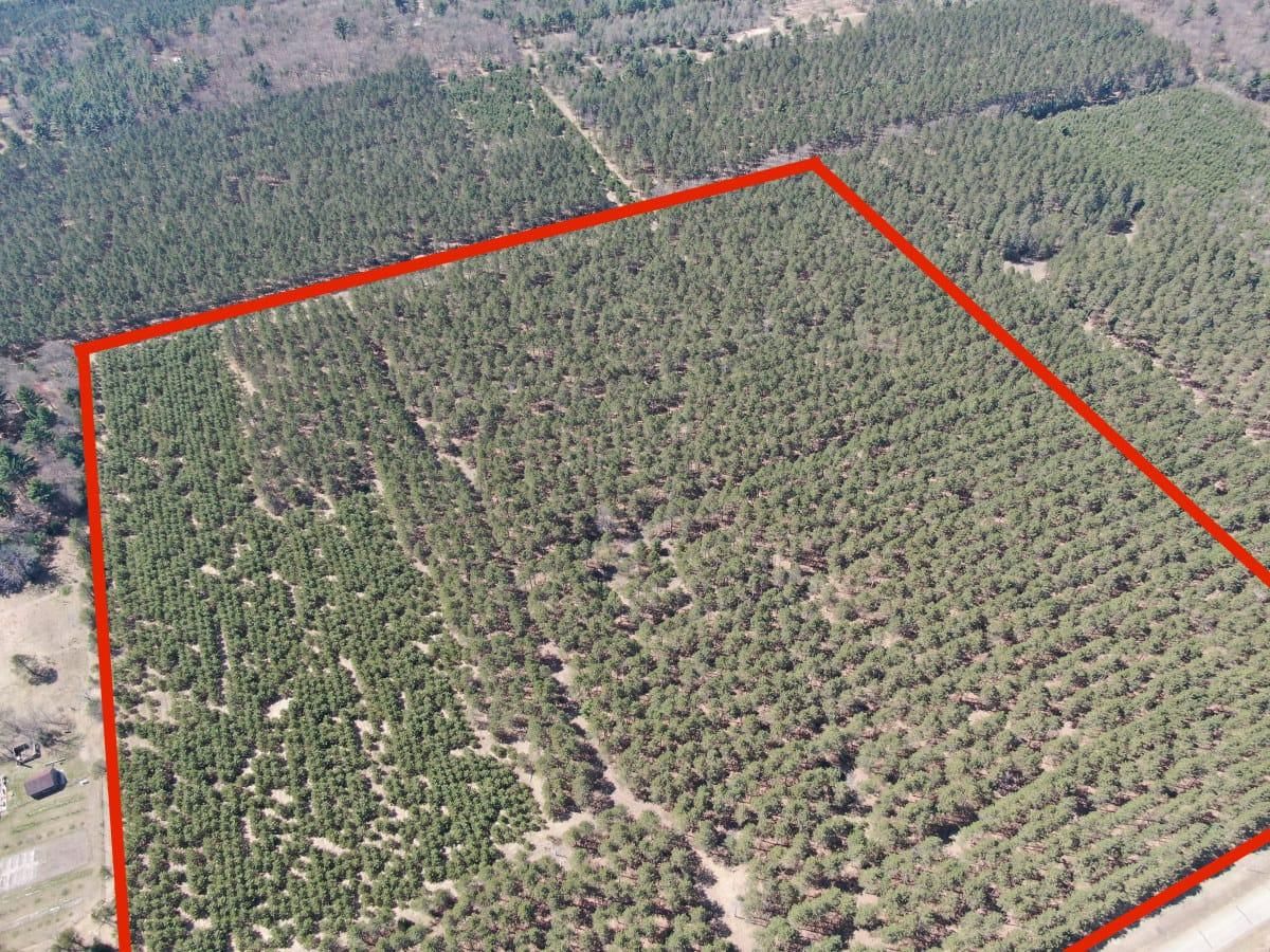 Hancock, Waushara County, WI Recreational Property, Timberland Property