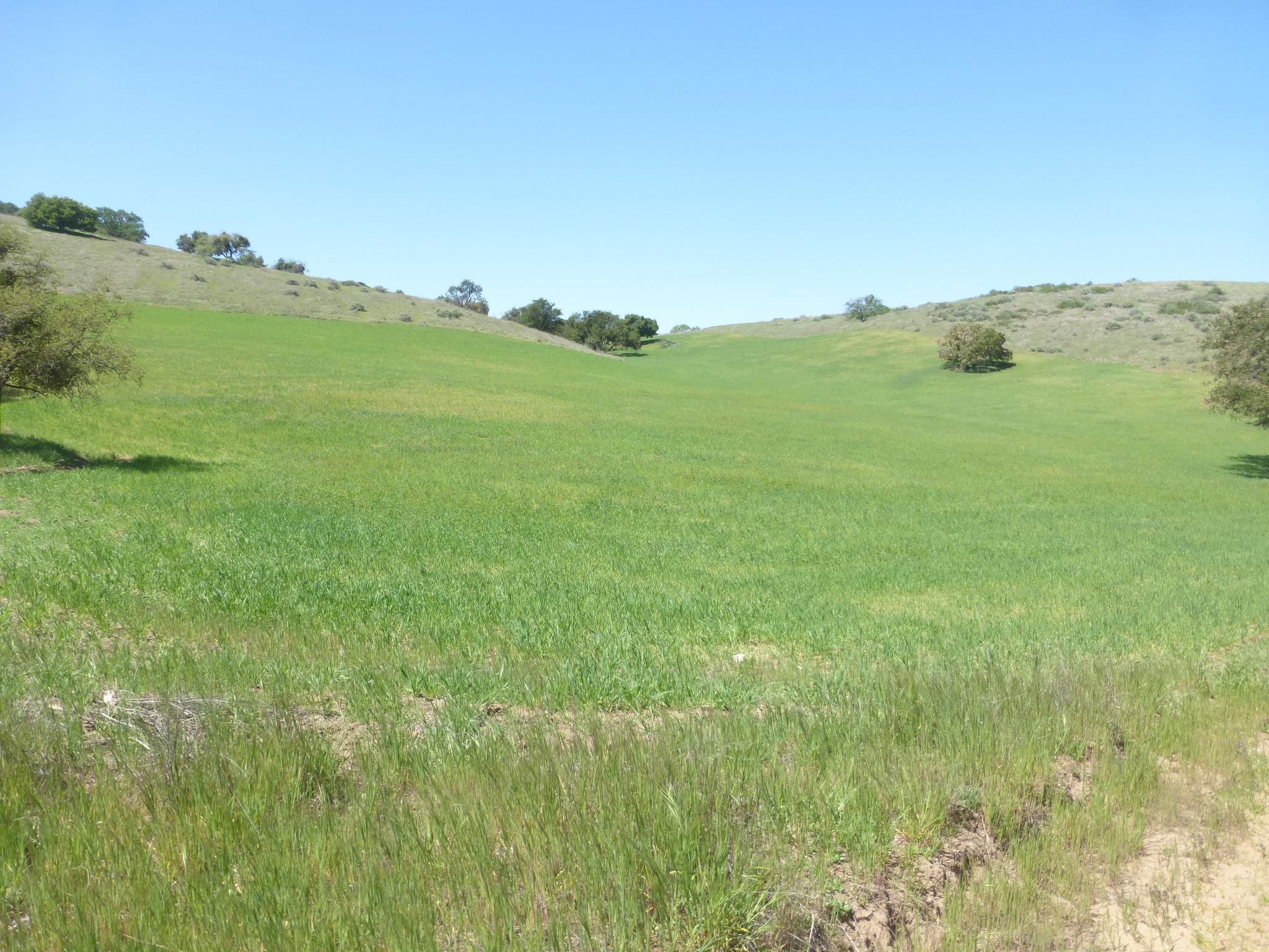 0 Shirtail Canyon, Soledad, CA 93960 MLS NS20126546 LandWatch