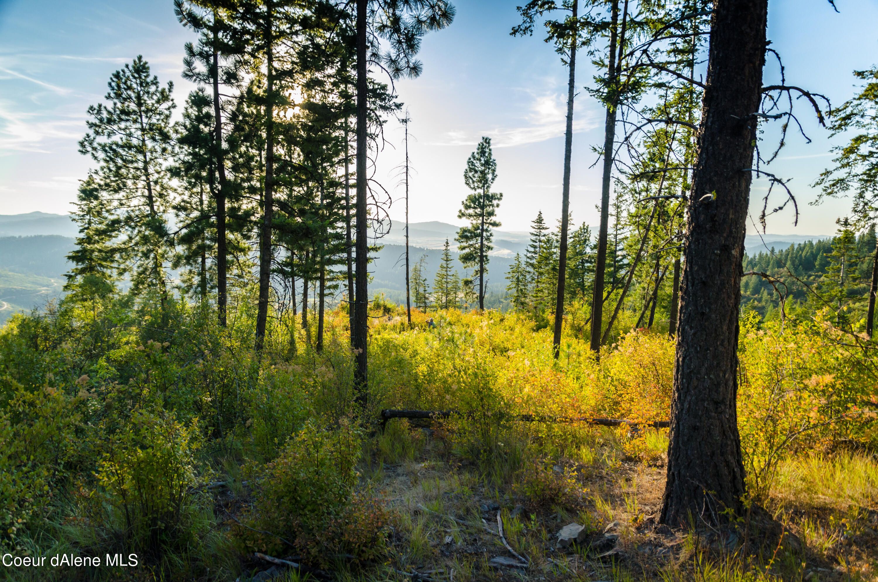 Tensed, Benewah County, ID Undeveloped Land for sale Property ID