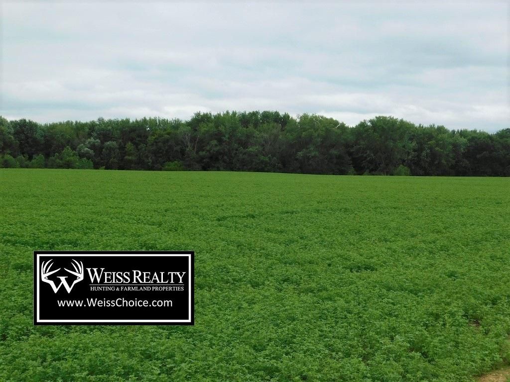 Strum, Trempealeau County, WI Recreational Property, Undeveloped Land