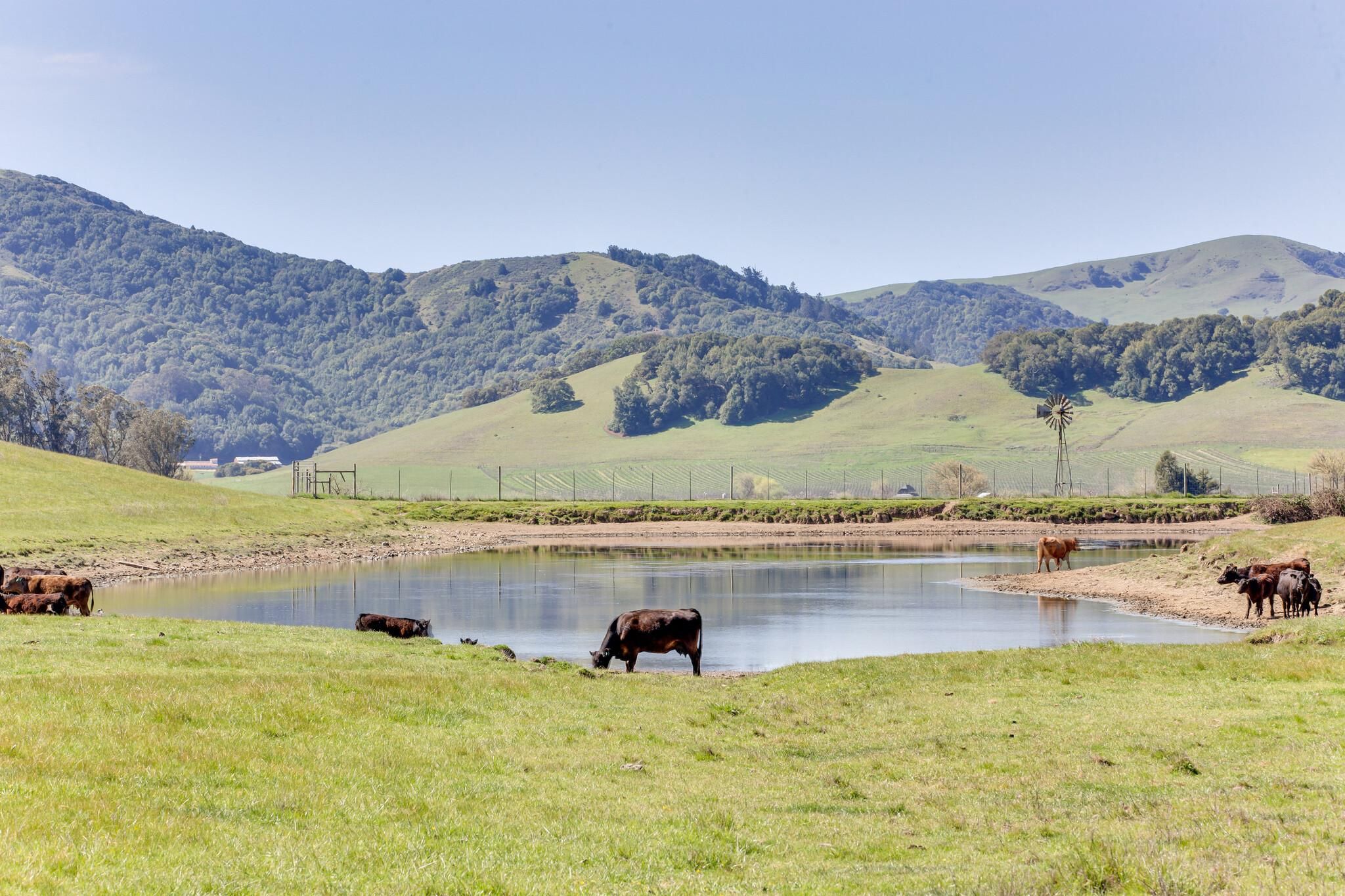 2730 Spring Hill Road, Petaluma, CA 94952 LandWatch