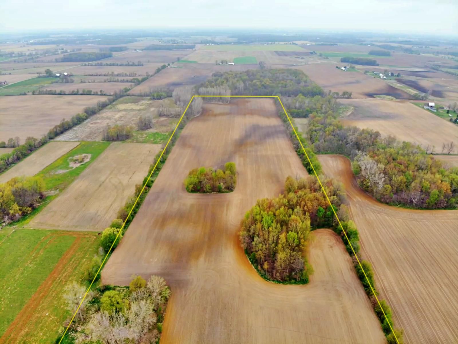Bronson, Branch County, MI Farms and Ranches, Timberland Property