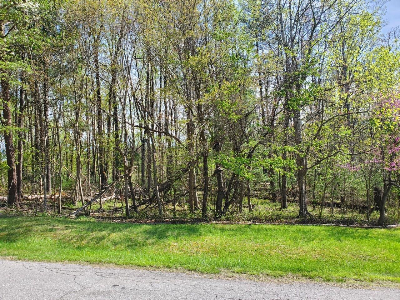 Cave Spring, Roanoke County, VA Recreational Property, Homesites for