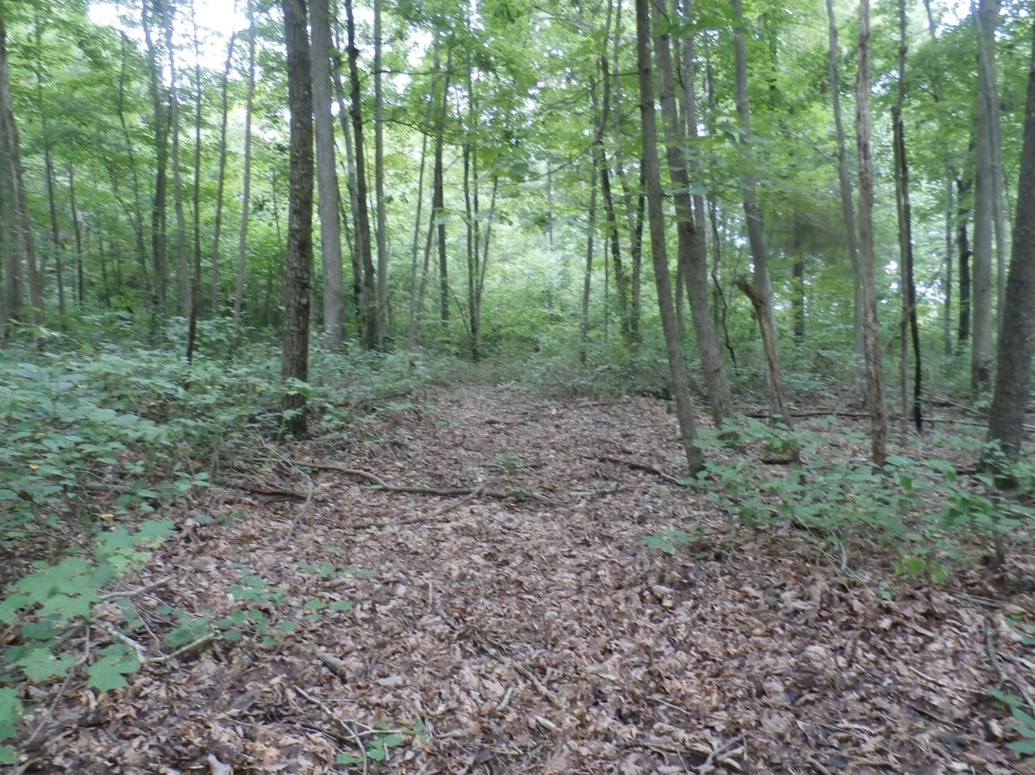 West Union, Adams County, OH Undeveloped Land for sale Property ID