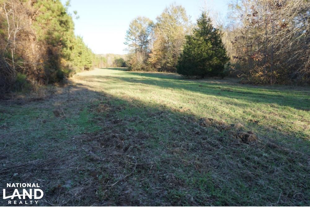 Cuba, Sumter County, AL Recreational Property, Timberland Property