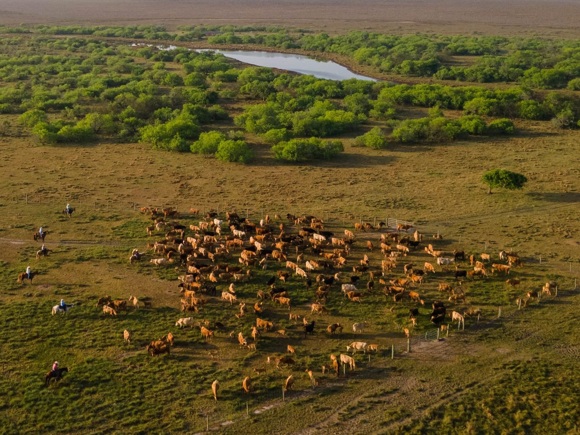 3,236 acres in Sargent, TX, 77414 LandWatch