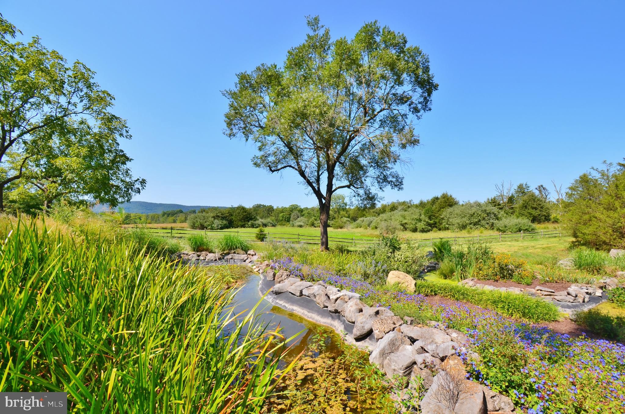 Strasburg, Shenandoah County, VA Farms and Ranches, House for sale