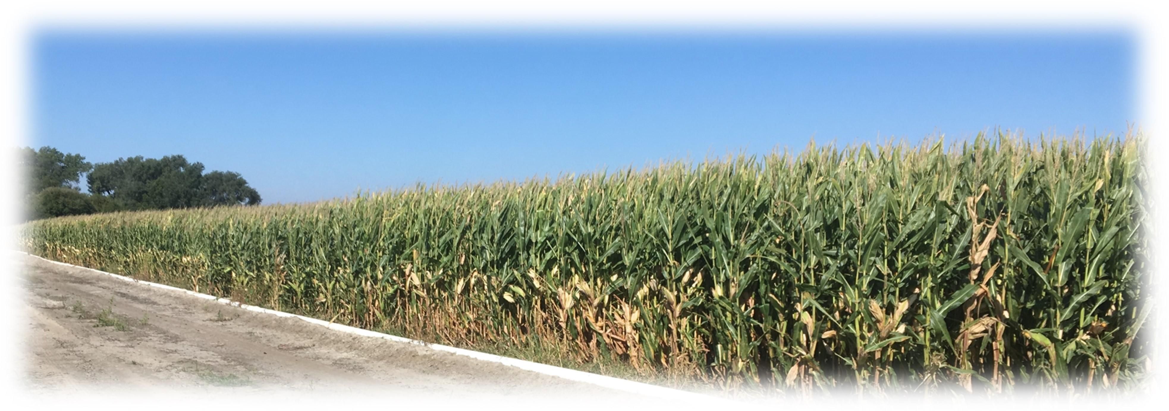 Lexington, Dawson County, NE Farms and Ranches for sale Property ID