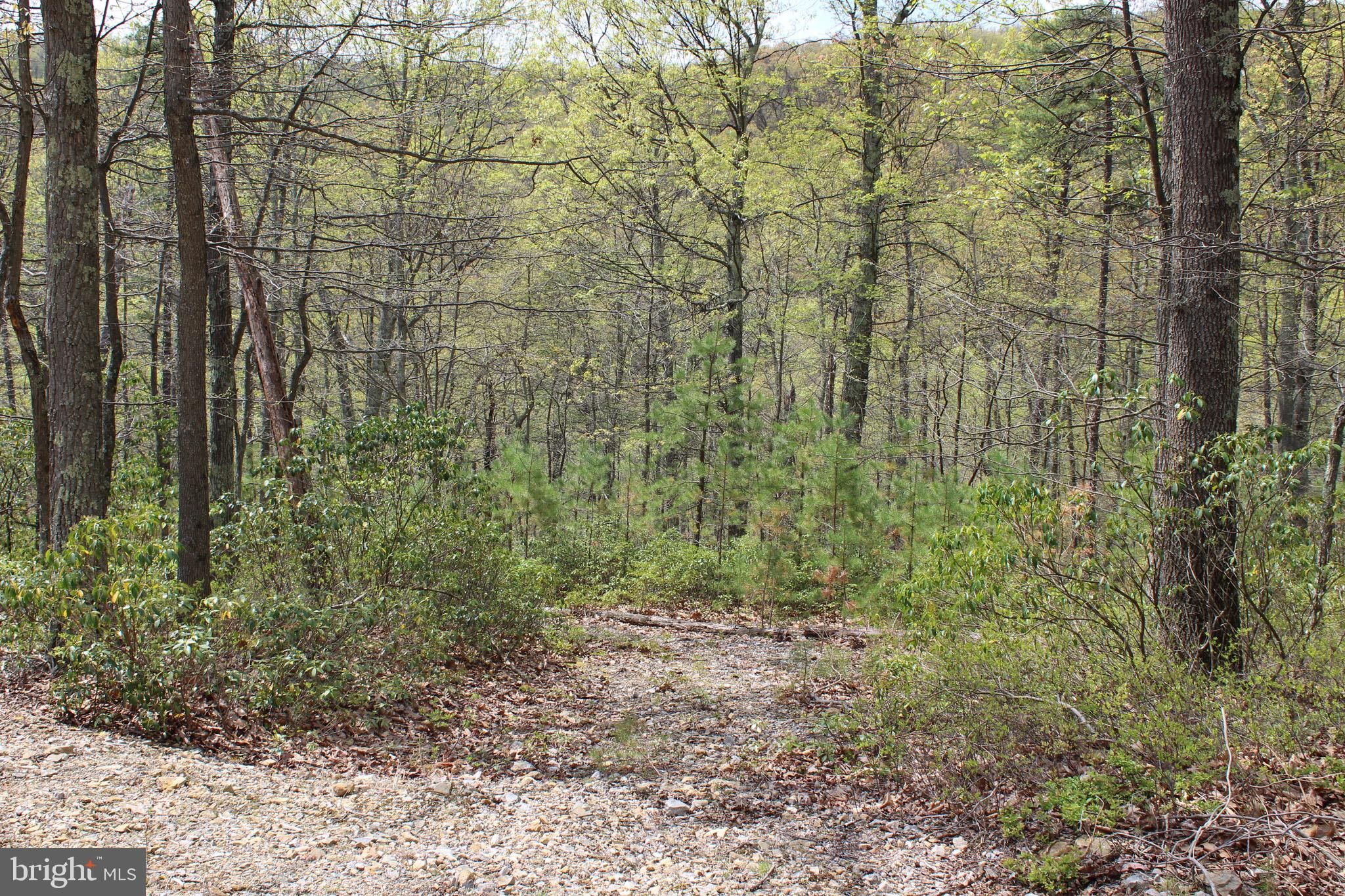 Old Fields, Hardy County, WV Undeveloped Land for sale Property ID