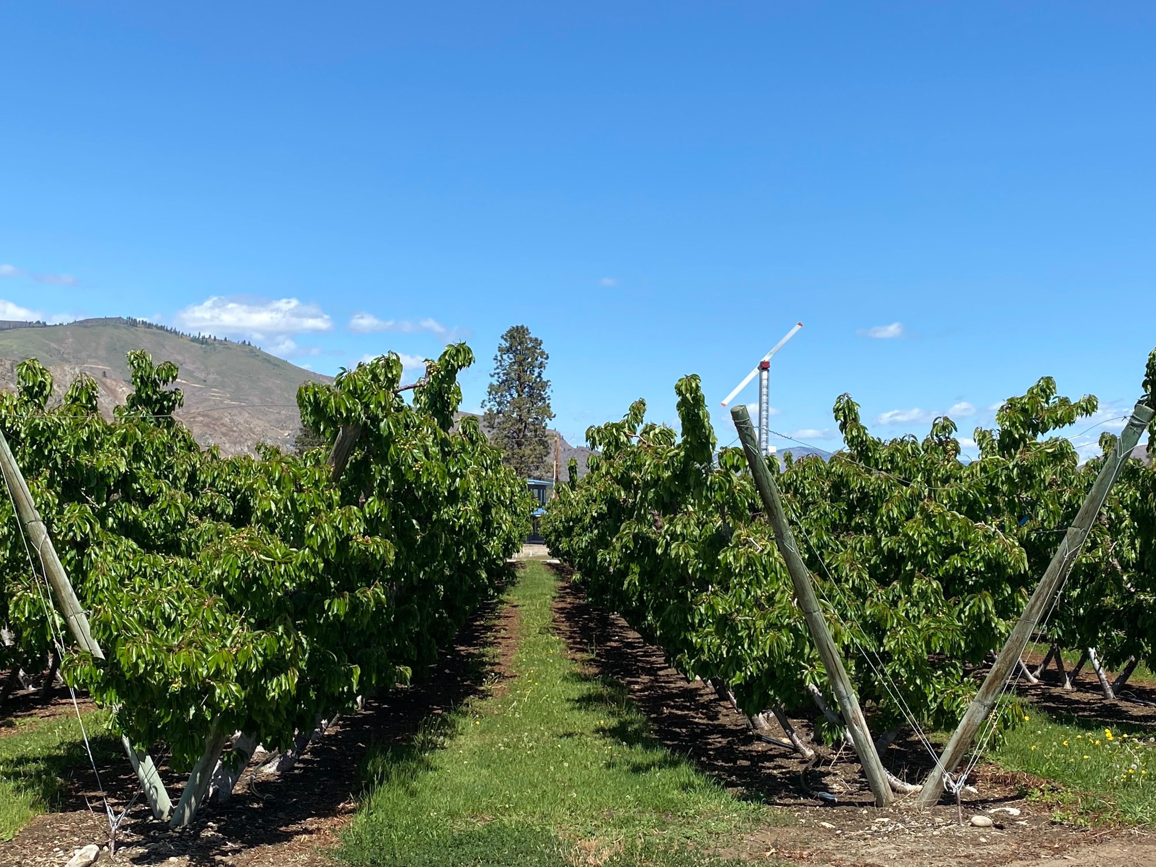 Orondo, Douglas County, WA Farms and Ranches, House for sale Property ID 410172493 LandWatch