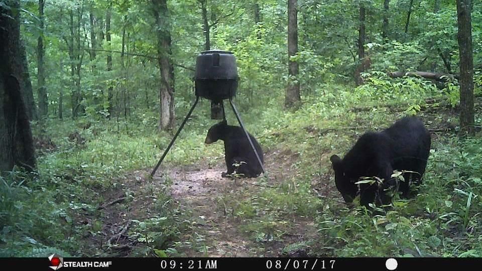 Frenchburg, Menifee County, KY Farms and Ranches for sale Property ID