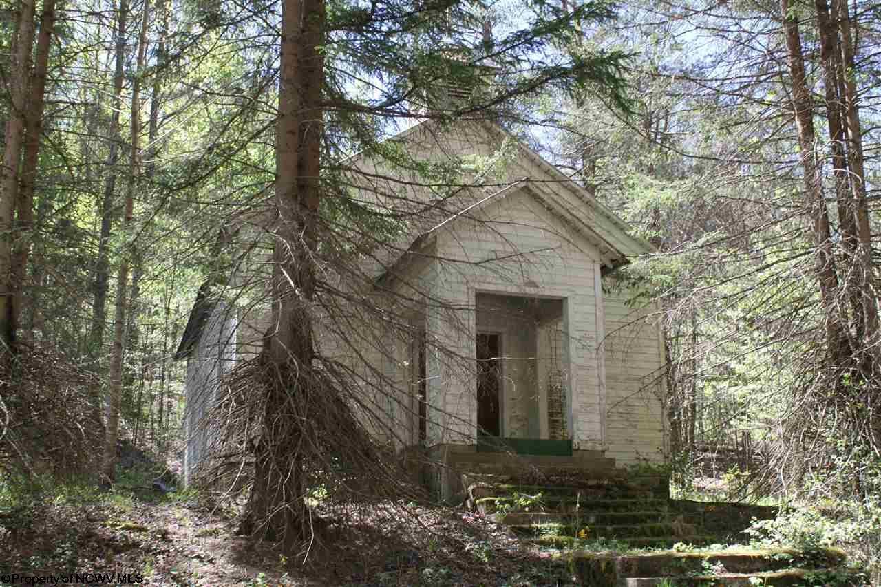 Hacker Valley, ster County, WV Undeveloped Land for sale Property ID