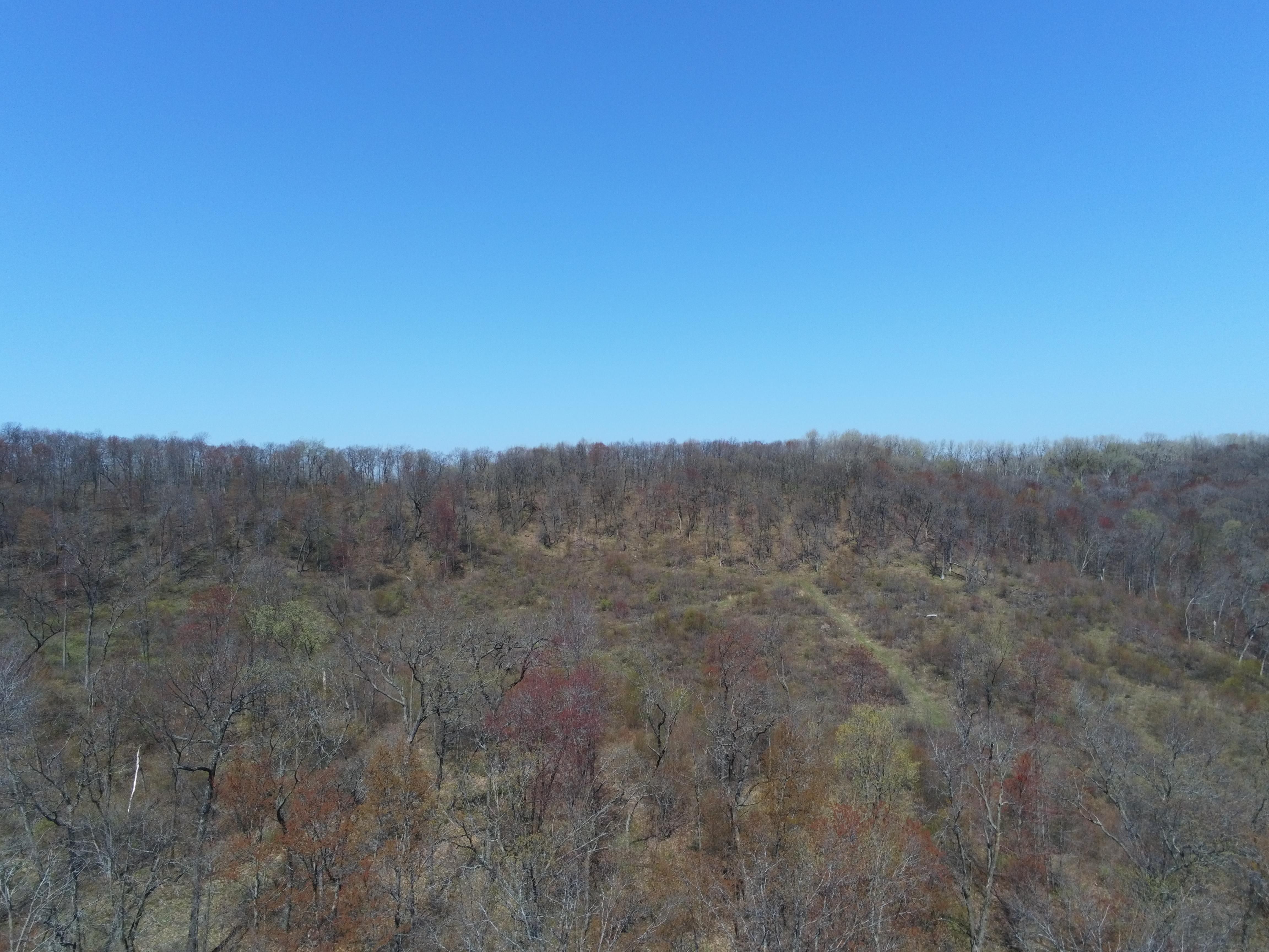 Tomah, Monroe County, WI Recreational Property, Hunting Property for