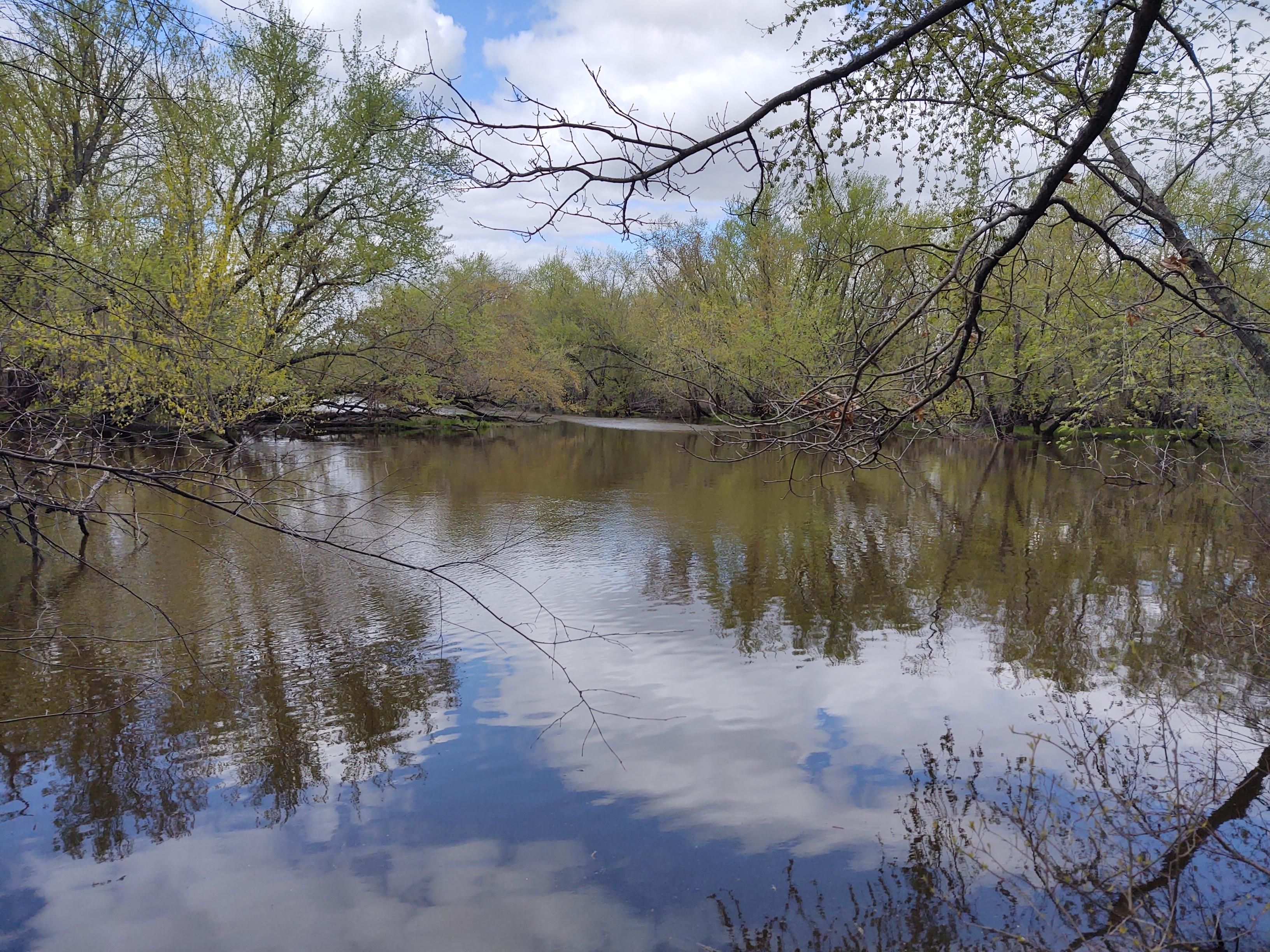 Lyndon Station, Juneau County, WI Recreational Property, Undeveloped