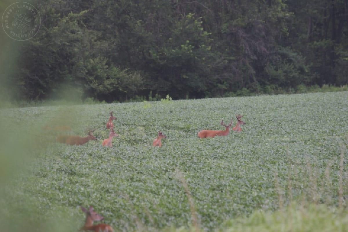 Wisconsin Dells, Adams County, WI Recreational Property, Hunting