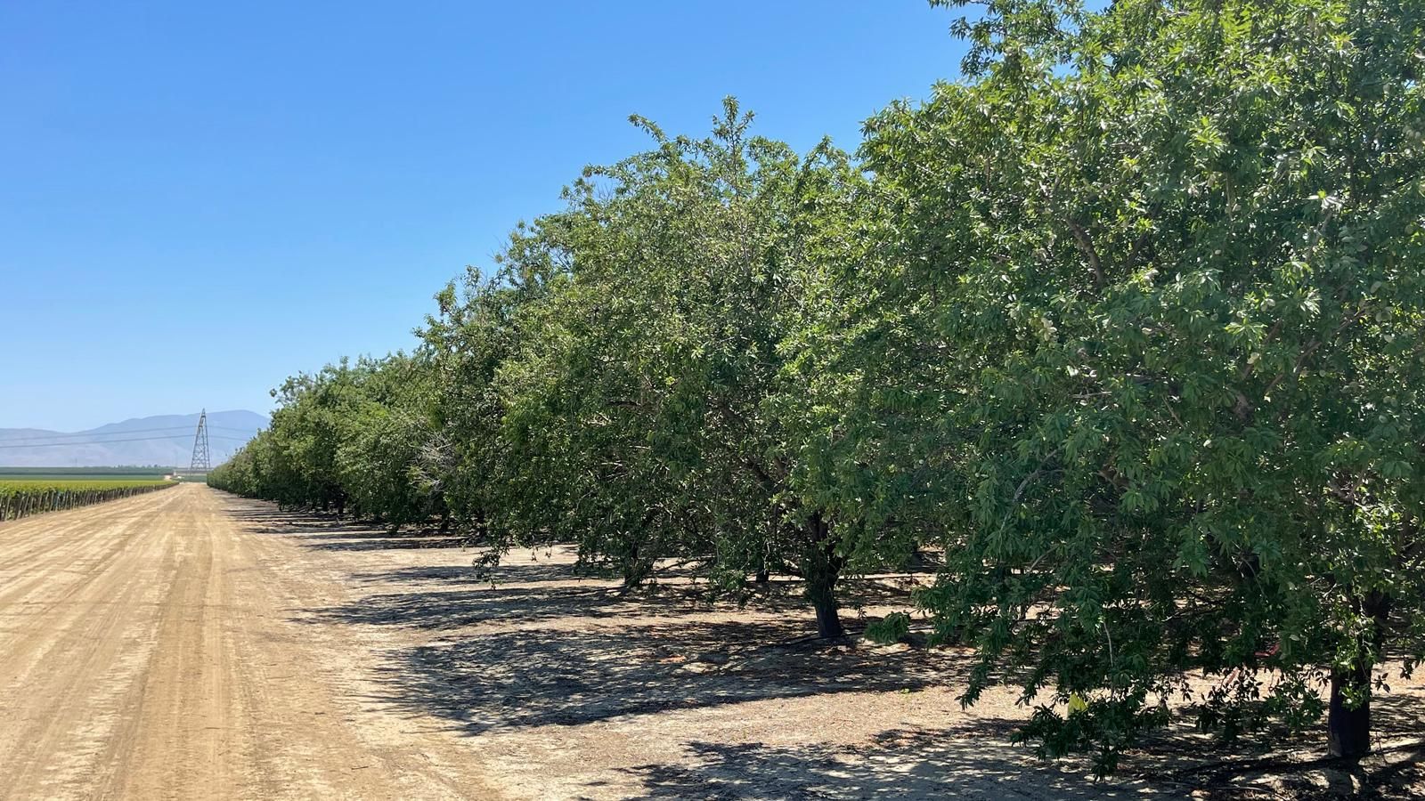 111.42 acres in Mettler, CA, 93313 LandWatch