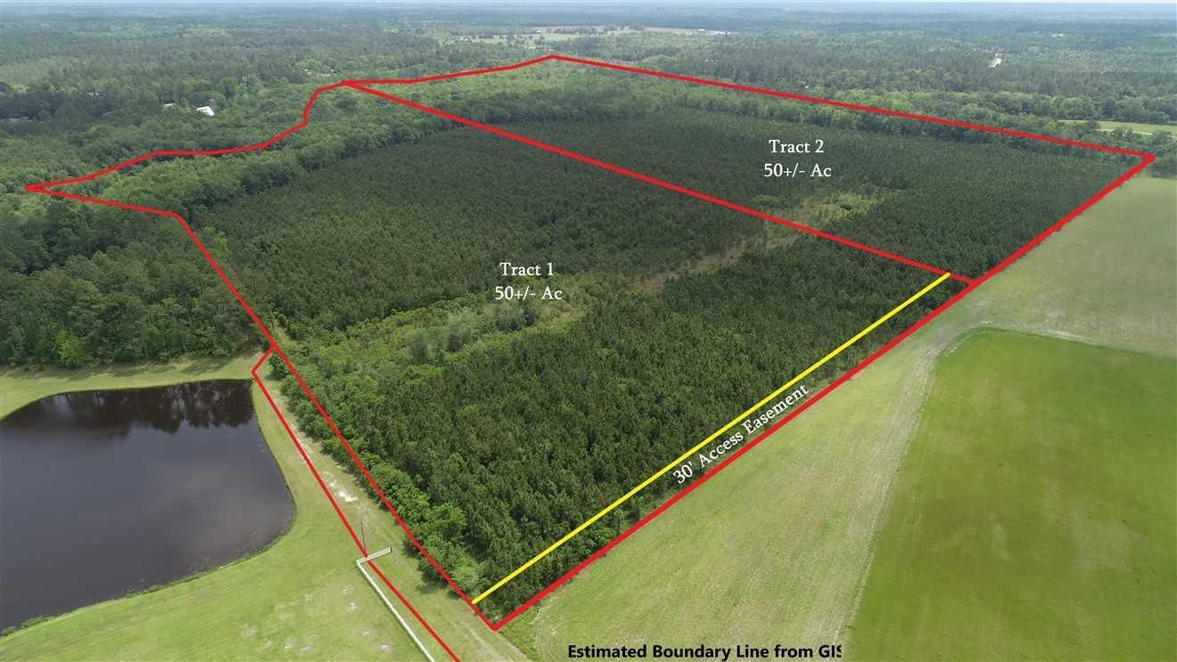 Jesup, Wayne County, GA Recreational Property, Hunting Property for