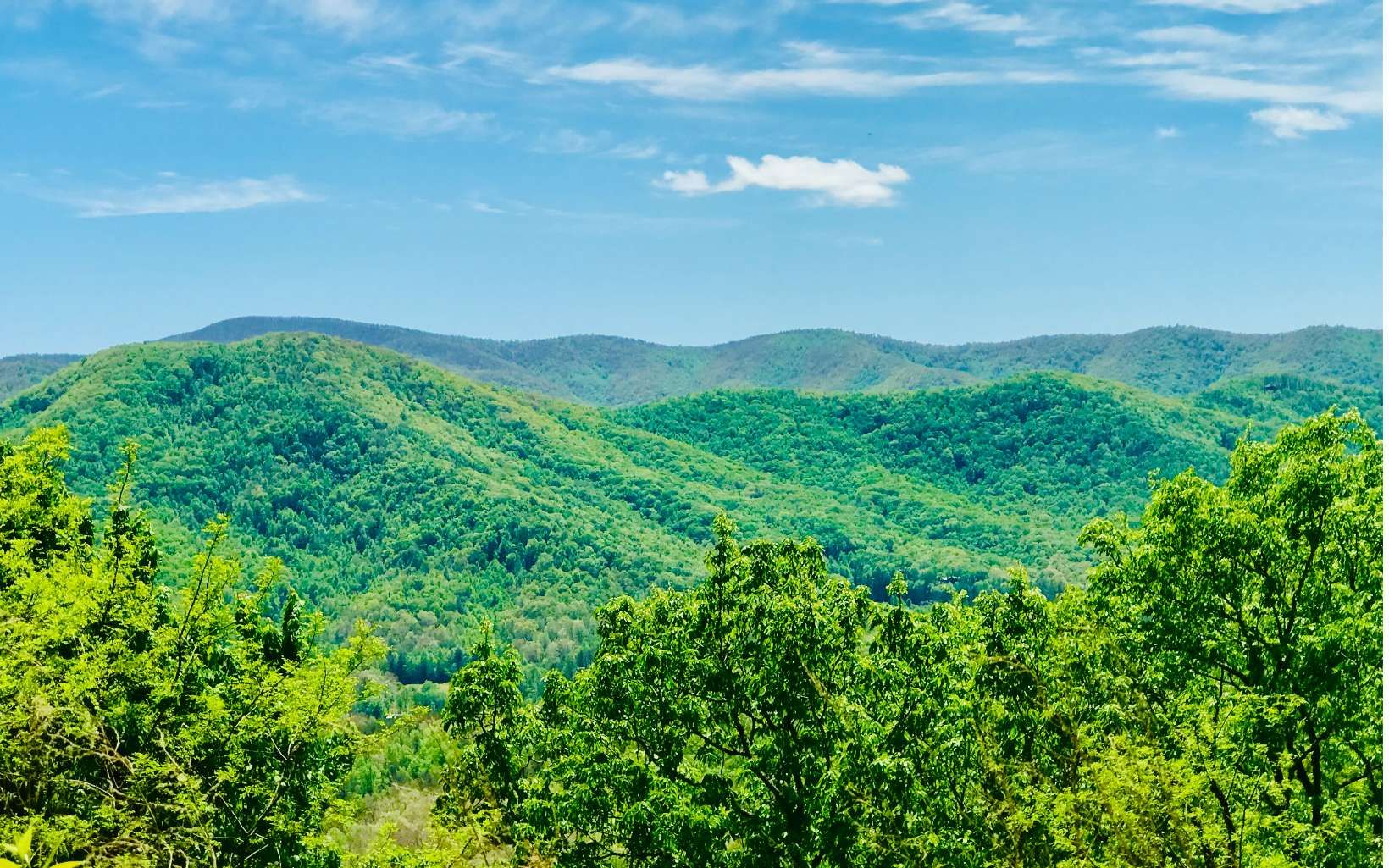 Hiawassee, Towns County, GA Undeveloped Land for sale Property ID