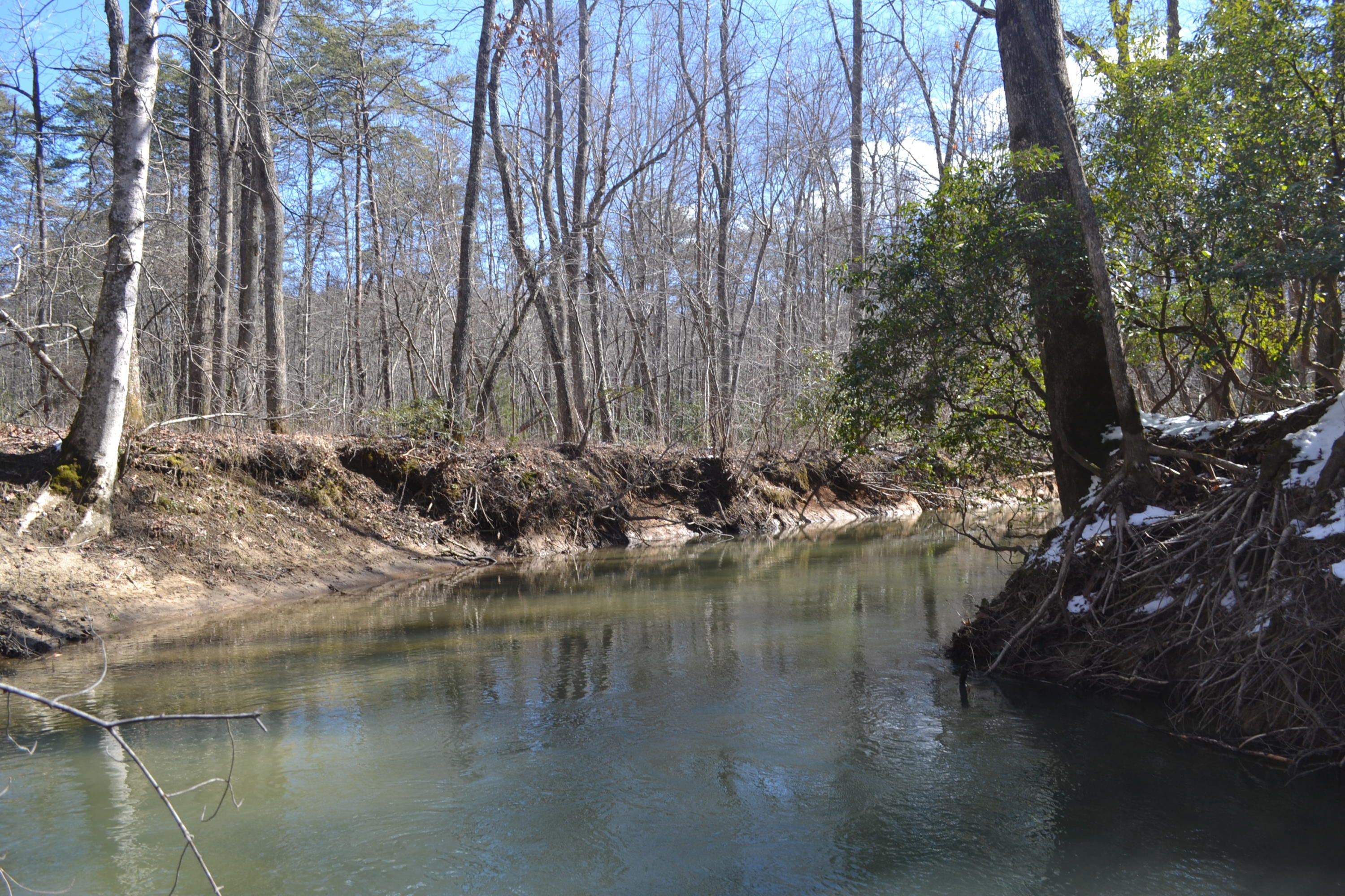 Spring City, Bledsoe County, TN Undeveloped Land for sale Property ID