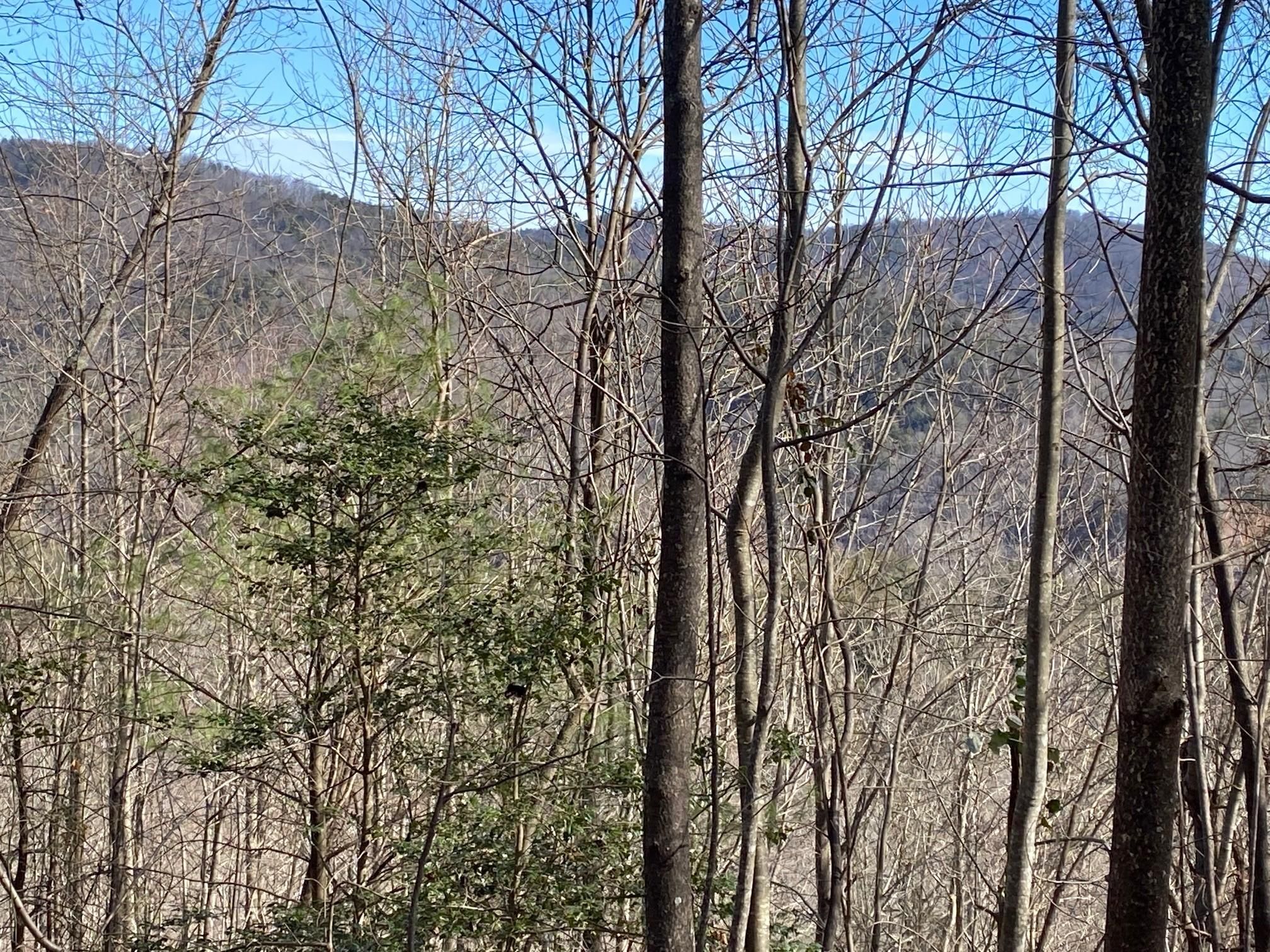 Millers Creek, Wilkes County, NC Recreational Property, Hunting