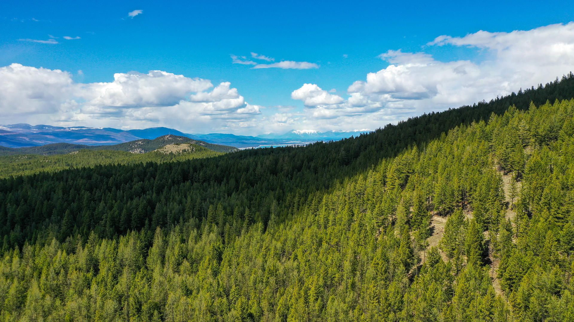 Rexford, Lincoln County, MT Undeveloped Land for sale Property ID 410235000 LandWatch